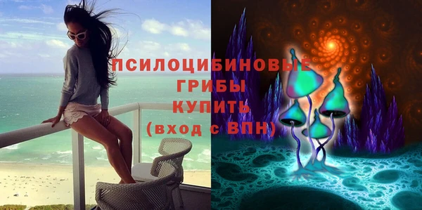 марки lsd Алексеевка