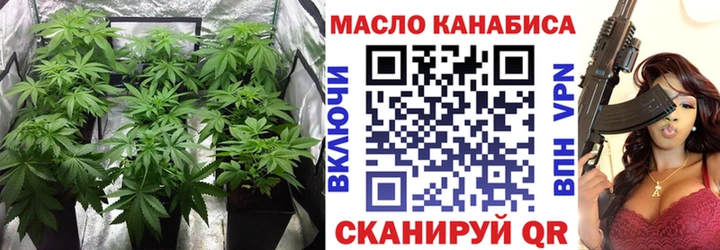 что такое   Перевоз  ТГК концентрат 
