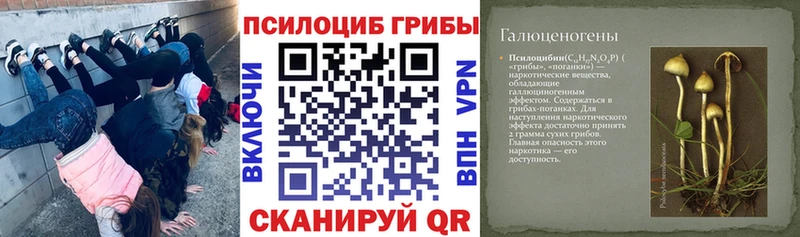 Псилоцибиновые грибы мухоморы  купить наркотики сайты  Перевоз 